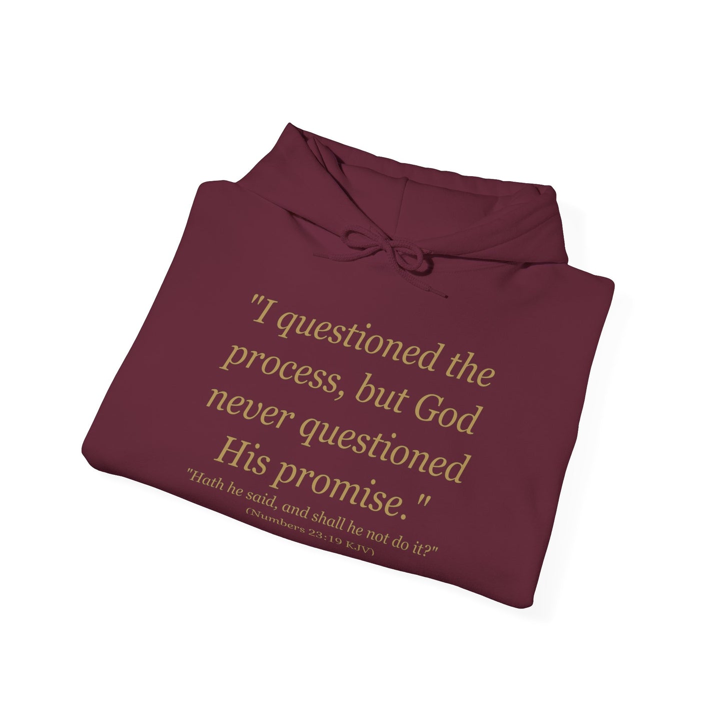 I Questioned the Process Hoodie | Plus Size Faith Affirmation Sweatshirt Kall Her Beauti