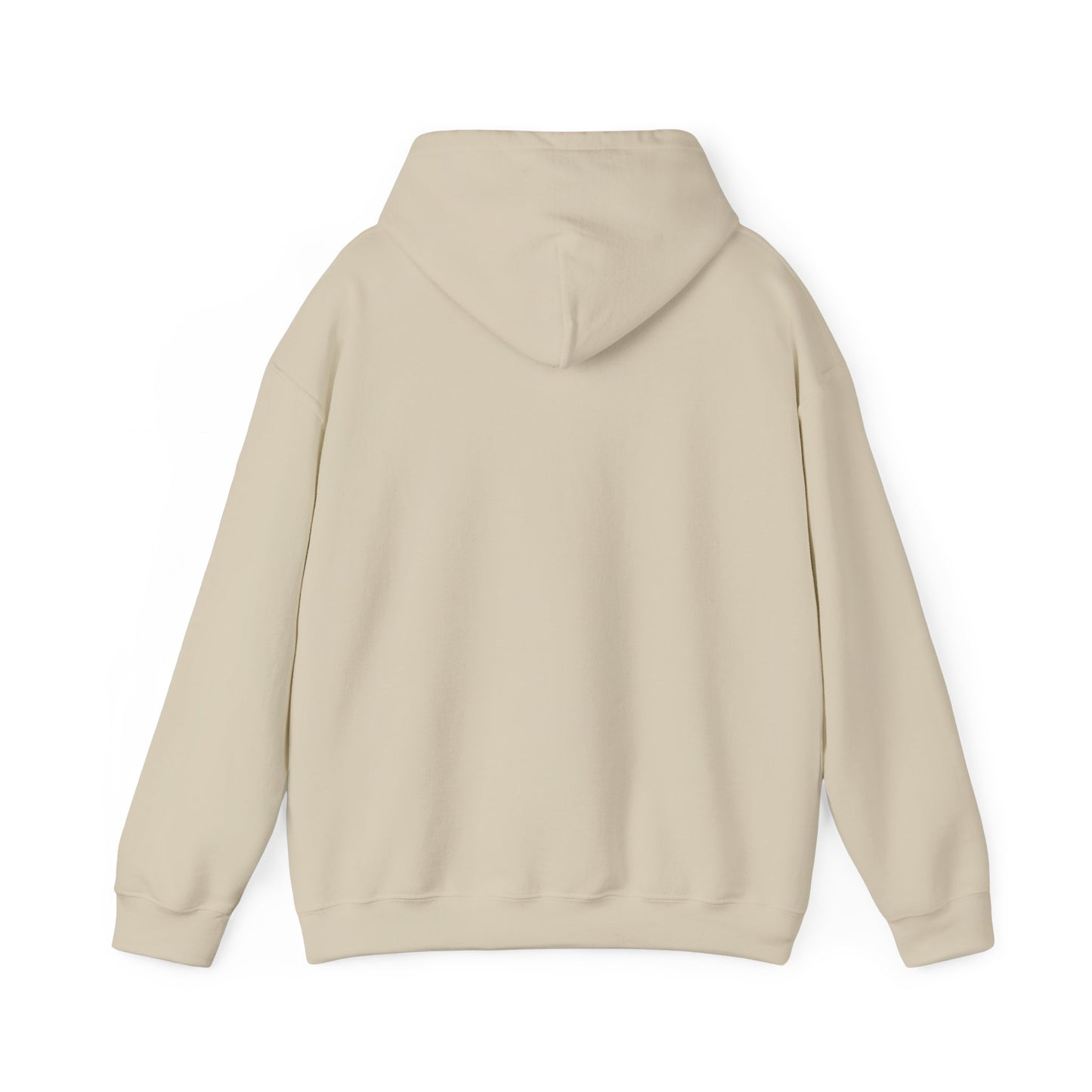 The “Embrace the Day” Collection | Premium Graphic Hoodie| Aesthetic Graphic Sweatshirt - All Colors