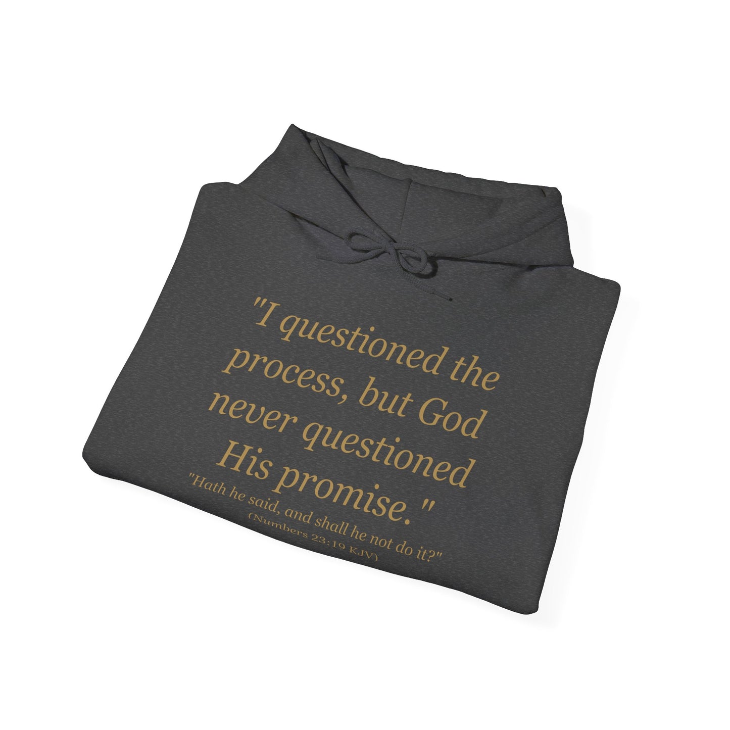 I Questioned the Process Hoodie | Plus Size Faith Affirmation Sweatshirt Kall Her Beauti