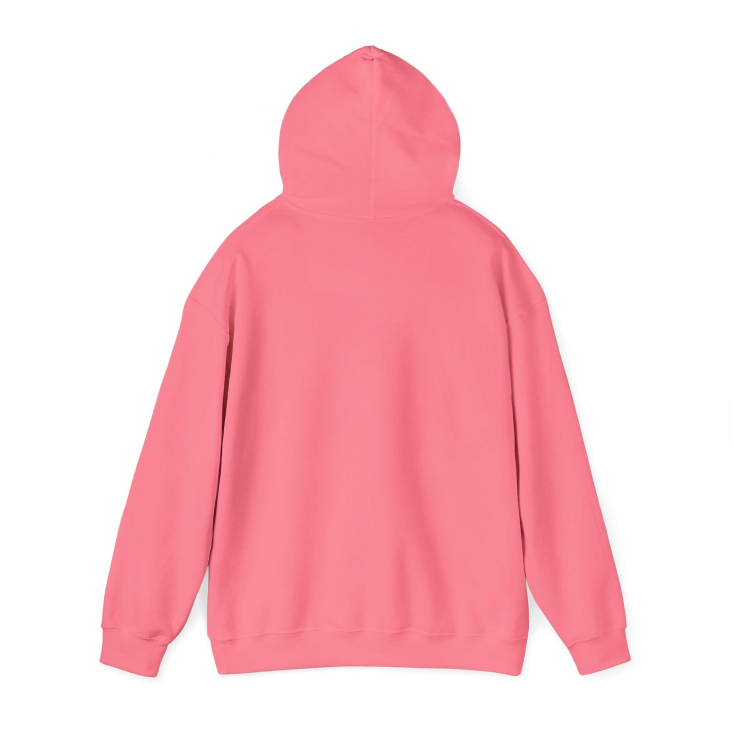 The “Embrace the Day” Collection | Premium Graphic Hoodie| Aesthetic Graphic Sweatshirt - All Colors