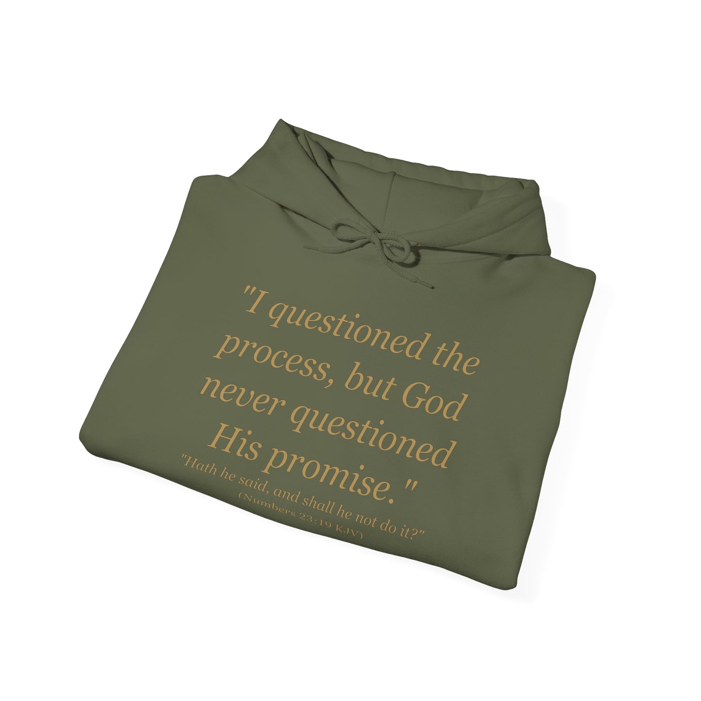 I Questioned the Process Hoodie | Plus Size Faith Affirmation Sweatshirt Kall Her Beauti