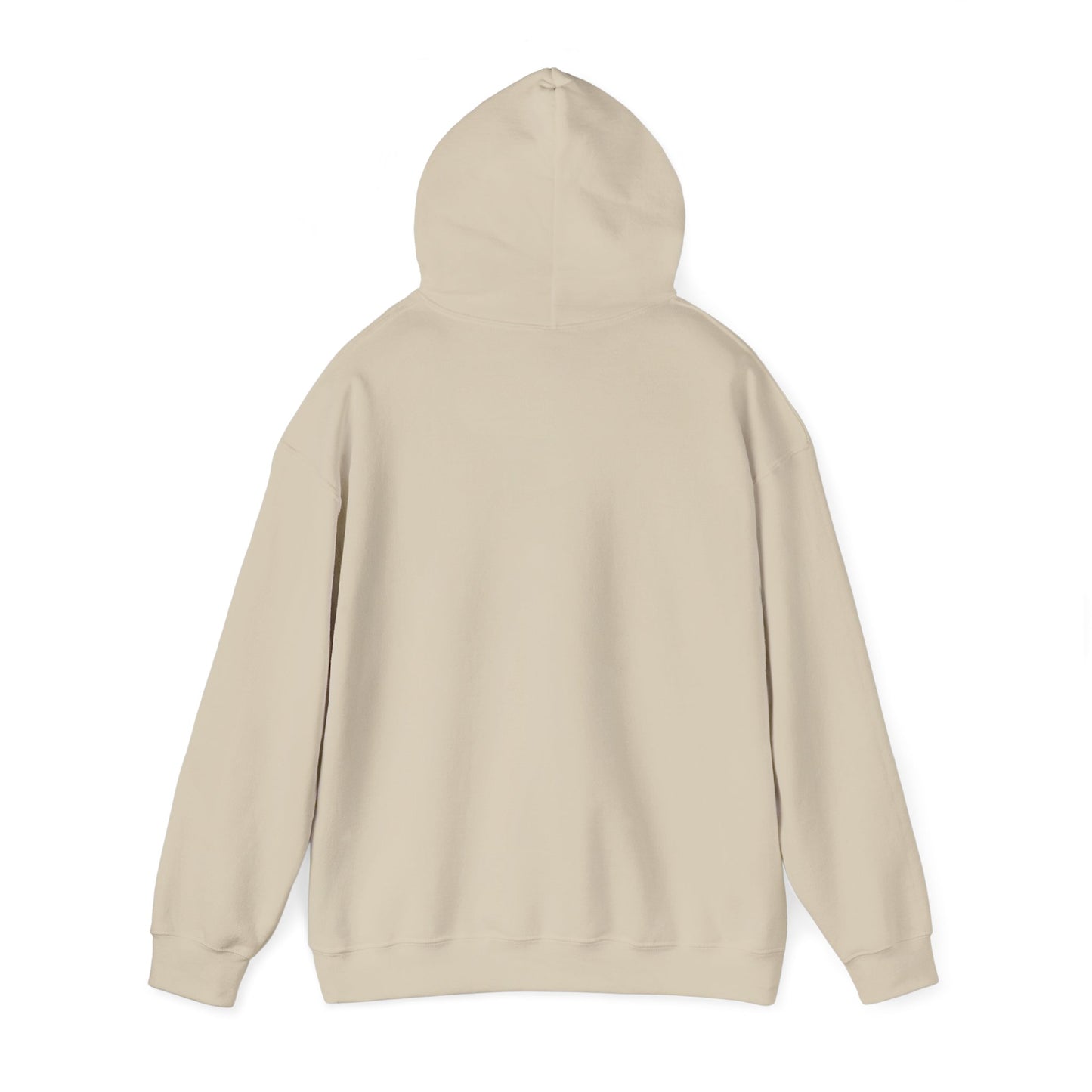 The “Embrace the Day” Collection | Premium Graphic Hoodie| Aesthetic Graphic Sweatshirt - All Colors
