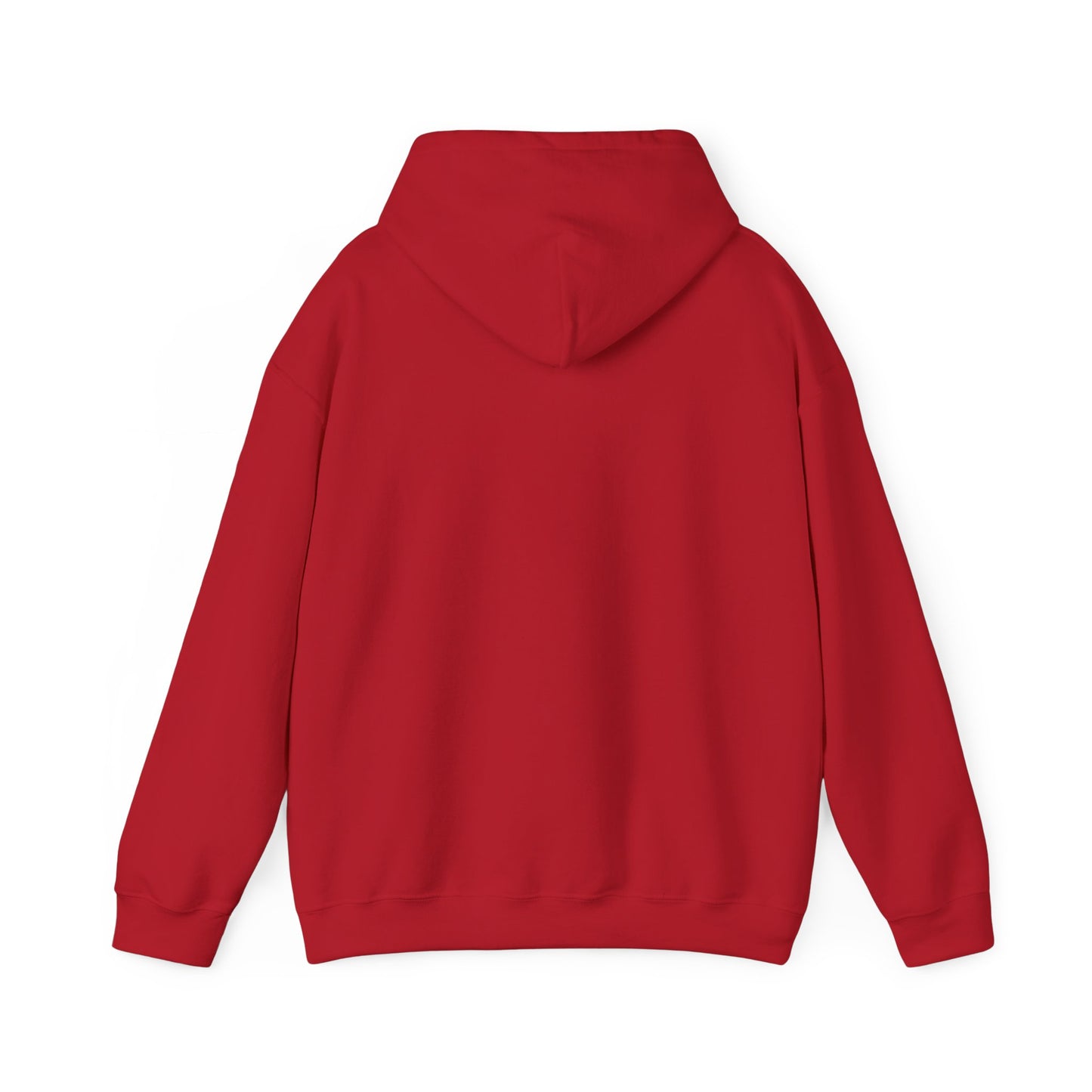 The “Embrace the Day” Collection | Premium Graphic Hoodie| Aesthetic Graphic Sweatshirt - All Colors