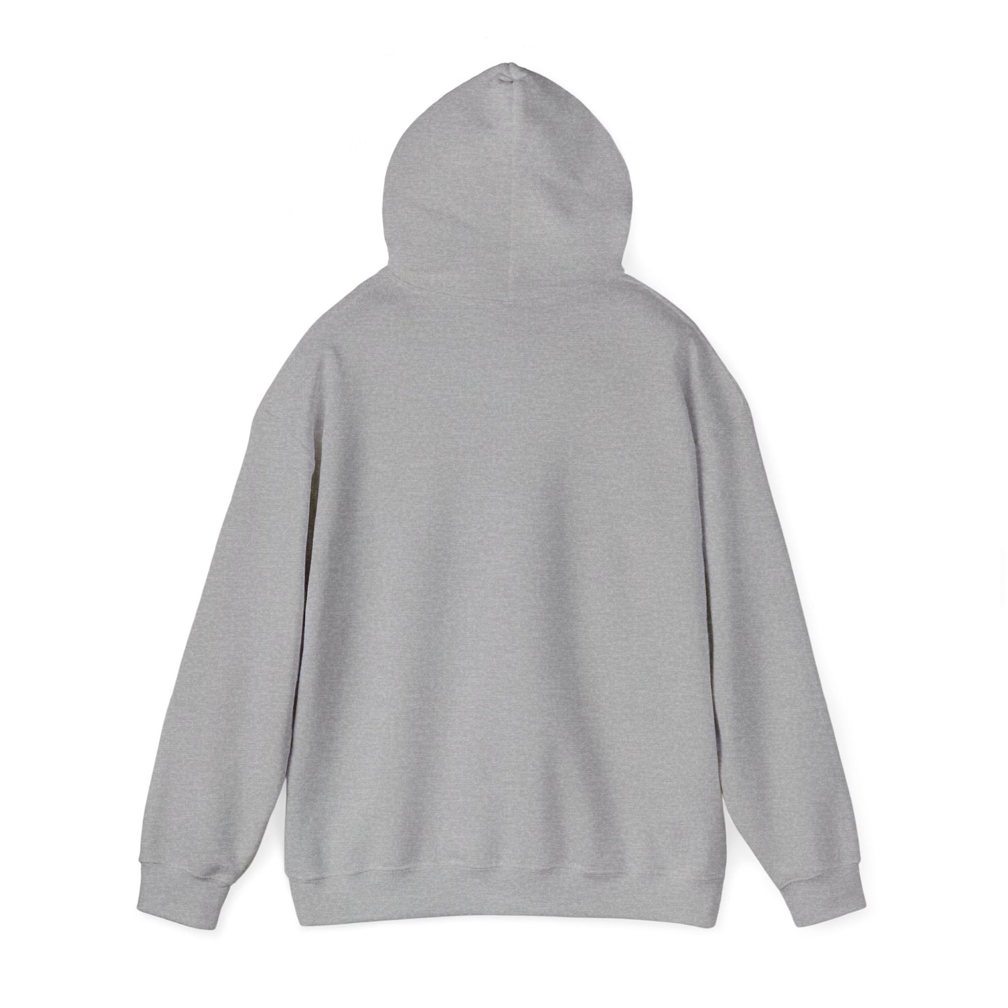The “Embrace the Day” Collection | Premium Graphic Hoodie| Aesthetic Graphic Sweatshirt - All Colors