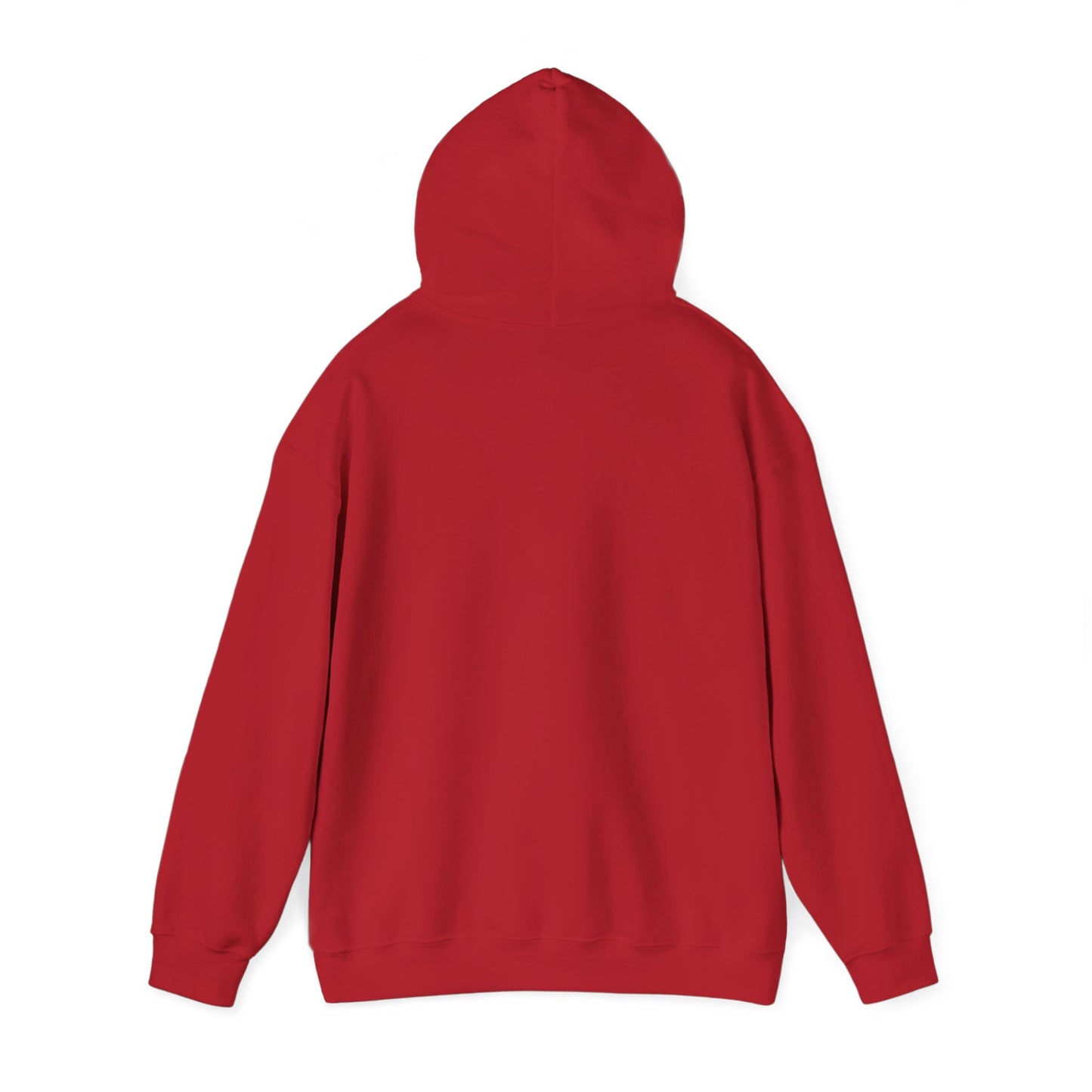 The “Embrace the Day” Collection | Premium Graphic Hoodie| Aesthetic Graphic Sweatshirt - All Colors