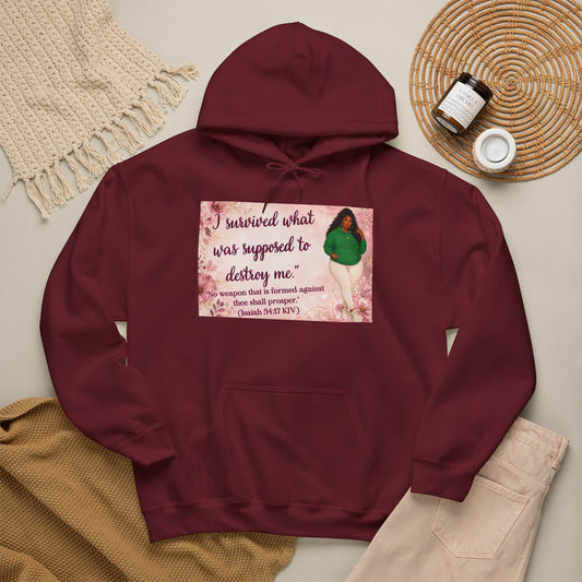 I Survived What Was Supposed to Destroy Me Hoodie | Kall Her Beauti™ Faith Collection