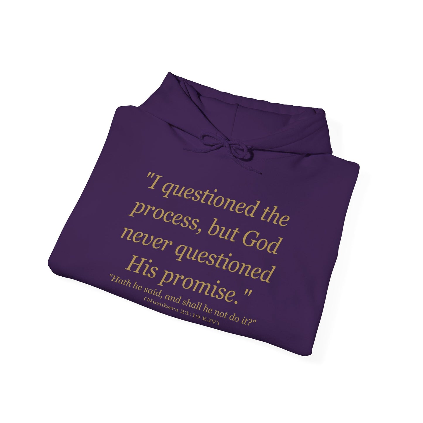 I Questioned the Process Hoodie | Plus Size Faith Affirmation Sweatshirt Kall Her Beauti