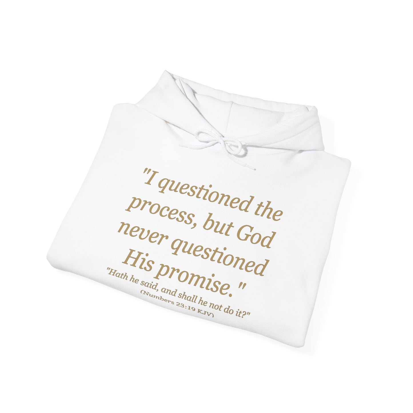 I Questioned the Process Hoodie | Plus Size Faith Affirmation Sweatshirt Kall Her Beauti