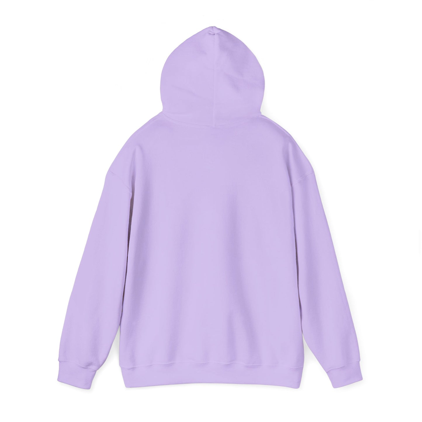 The “Embrace the Day” Collection | Premium Graphic Hoodie| Aesthetic Graphic Sweatshirt - All Colors