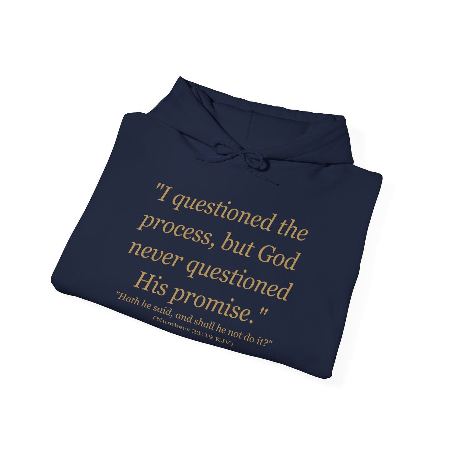 I Questioned the Process Hoodie | Plus Size Faith Affirmation Sweatshirt Kall Her Beauti